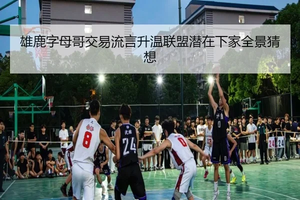 雄鹿字母哥交易流言升温联盟潜在下家全景猜想