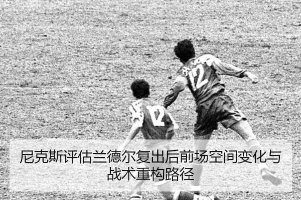 img_1781365554130_665_1_423.jpg
